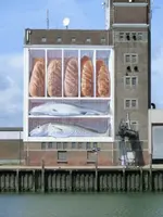 09 scheinfeld.webp