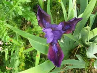 IMG_remontirend_1024x768.webp