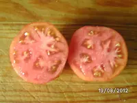 BILD1356.webp