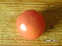 BILD1357.webp