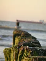 CIMG1326.webp