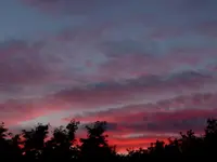 P1020711.webp