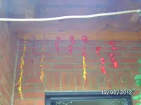 BILD1369.webp