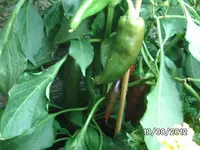 k-BILD1367.webp