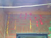 k-BILD1369.webp