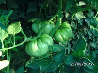 k-BILD1370.webp