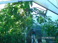 k-BILD1373.webp