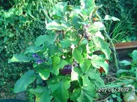 k-BILD1372.webp