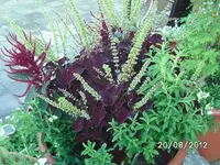 k-BILD1377.webp