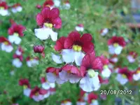 k-BILD1378.webp