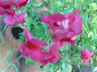 k-BILD1379.webp