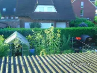 k-BILD1380.webp