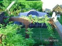 k-BILD1381.webp