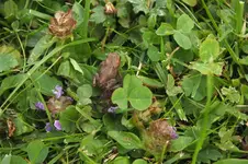 2012_0814Sommer0036.webp