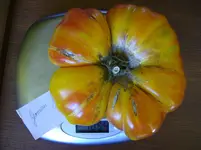 m 011.webp