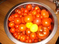 m 018.webp