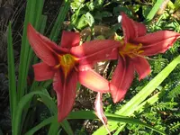 IMG_3905_1024x768.webp
