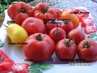 BILD0660.webp