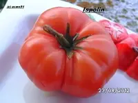 BILD0662.webp