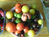 k-BILD1382.webp