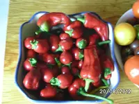 k-BILD1384.webp