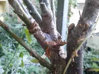 2012-08-23 19.13.48.webp