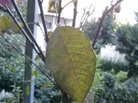 2012-08-23 19.14.00.webp