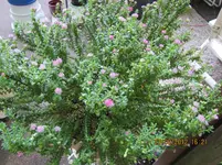 IMG_0149.webp
