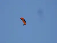 DSC09852.webp