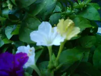 DSC02819.webp