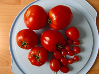 Tomatenpaket.webp