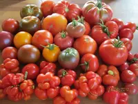 k-IMG_0068.webp