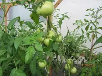 k-IMG_0007.webp