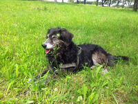 billy juli12-01.webp