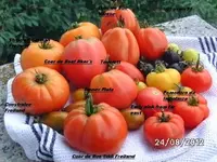 BILD0676.webp