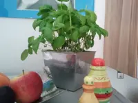 2012-08-24 14.37.08.webp