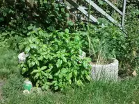 2012-08-24 14.36.06.webp