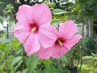IMGP5627.webp