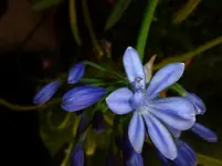 P1020691.webp