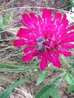 248.webp