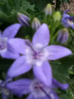 301.webp