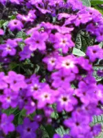 326.webp