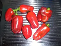 100_0810.webp