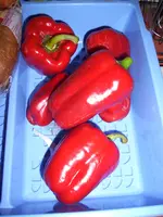 100_0811.webp