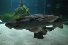 2012_0816Sommer0006.webp