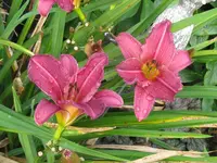 IMG_3950_1024x768.webp