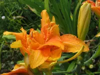 IMG_3951_1024x768.webp