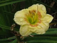 IMG_3980_1024x768.webp