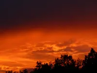 P1020757.webp