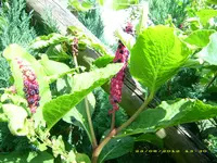 Bilder Lüdersen Dörpe Grundstück 075.webp